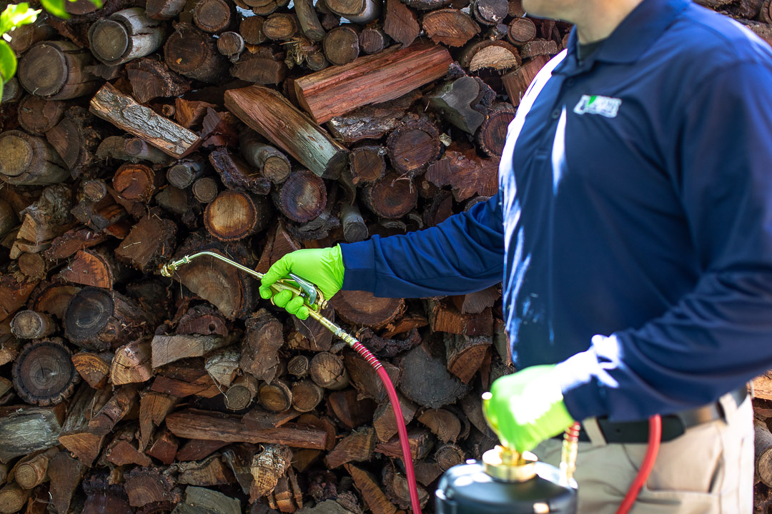 DePests technician applying termiticide treatment near soil and wood