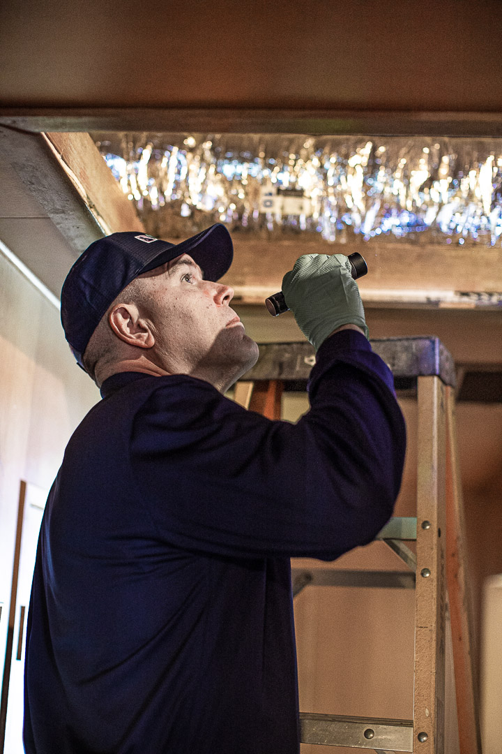 DePests technician inspecting attic and interior spaces for bed bugs