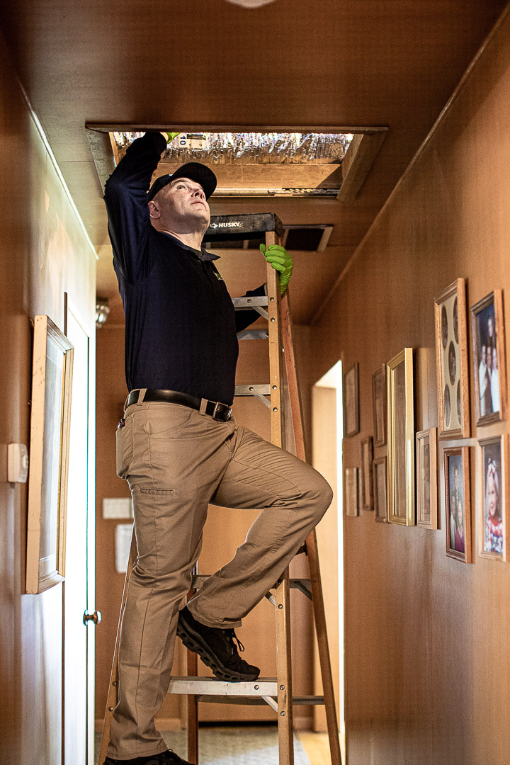 DePests technician accessing attic to inspect for rodent activity